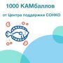 1000 КАМбаллов от Центра поддержки СОНКО